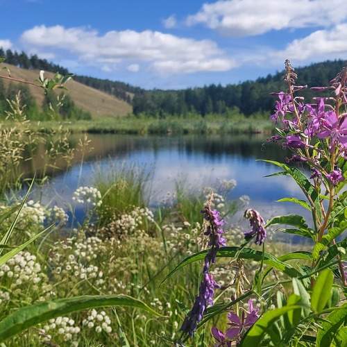 Photo #10483536