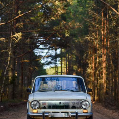 Photo #10483738