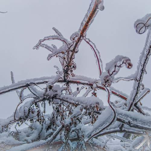 Photo #10484494