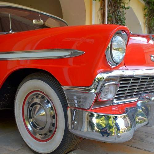 Photo #10485822
