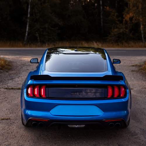 Photo #10485874