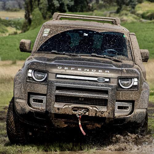 Photo #10487553