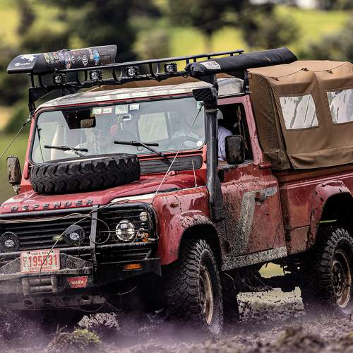 Photo #10487559