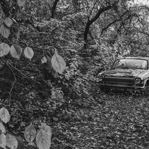 Photo #10487588