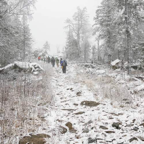 Photo #10487768