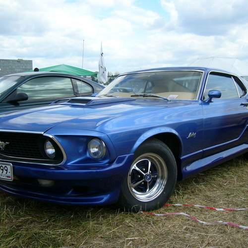 Photo #10487933