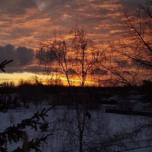Photo #10488219