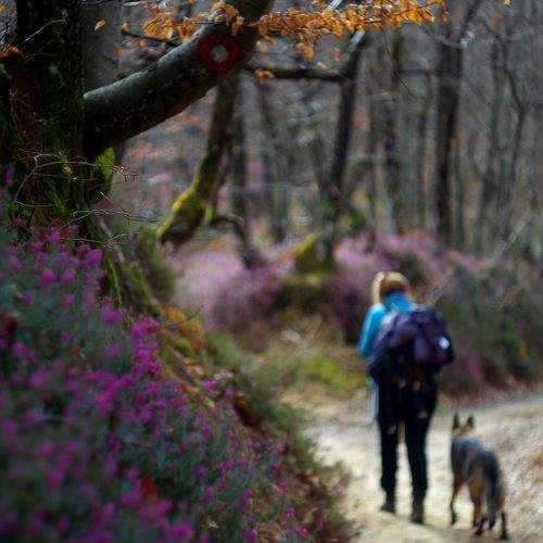 Photo #10488309