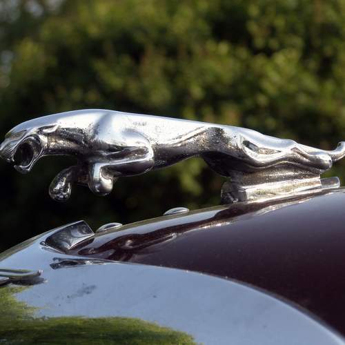 Photo #10489352