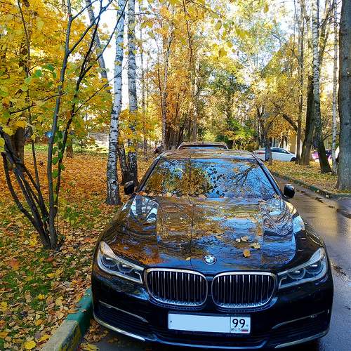Photo #10489932