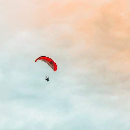 Photo #10490269