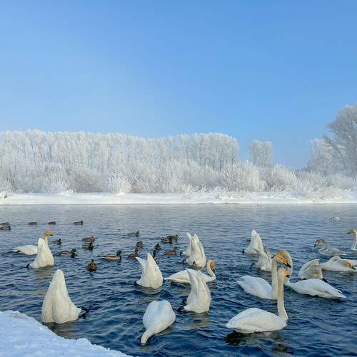 Photo #10490361