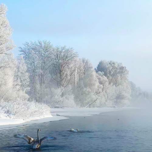 Photo #10490363