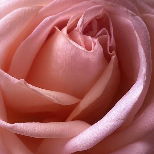 Photo #10490419