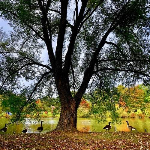 Photo #10490436