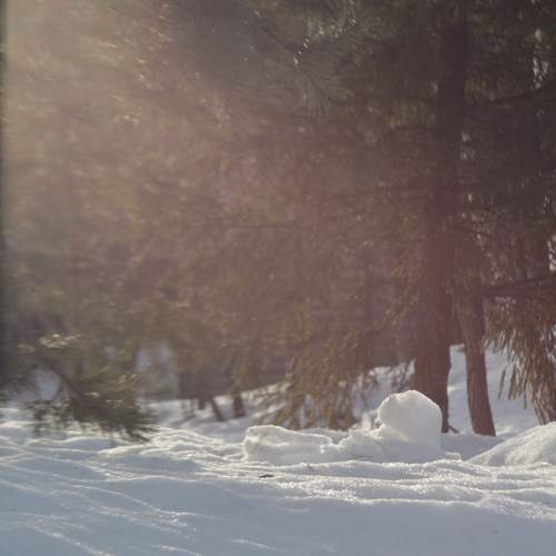Photo #10491267