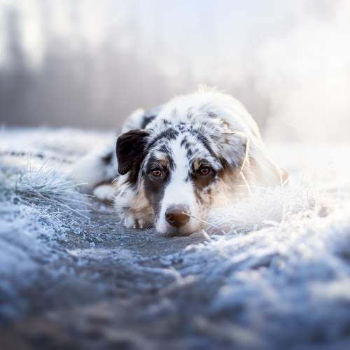 Photo #10491812