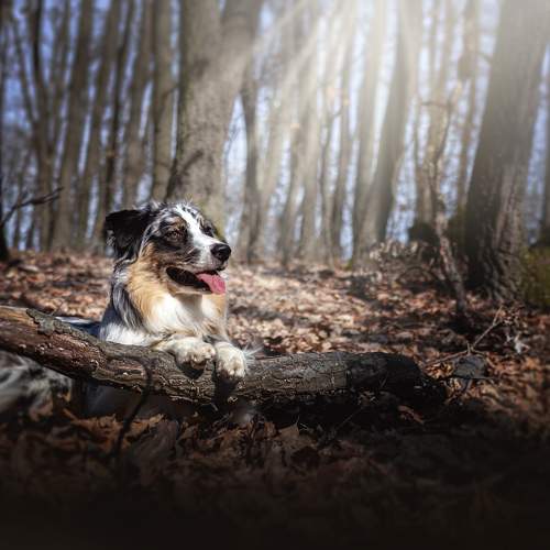 Photo #10491816