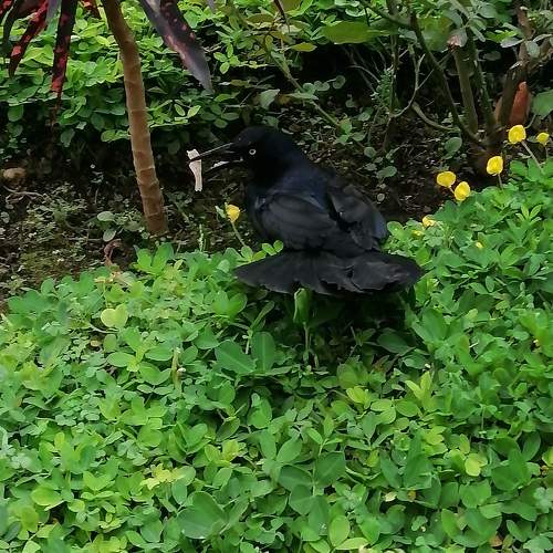 Photo #10492100