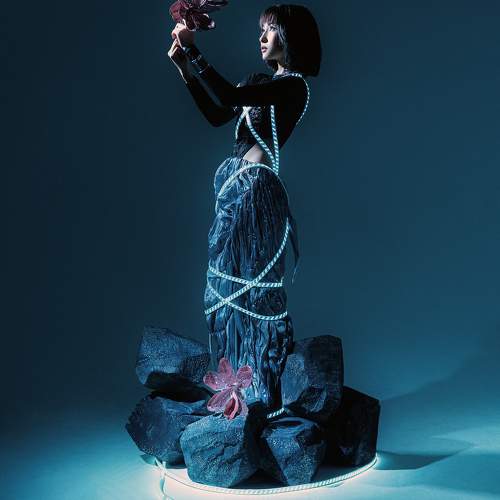 Photo #10492510