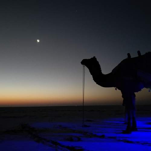 Photo #10492588