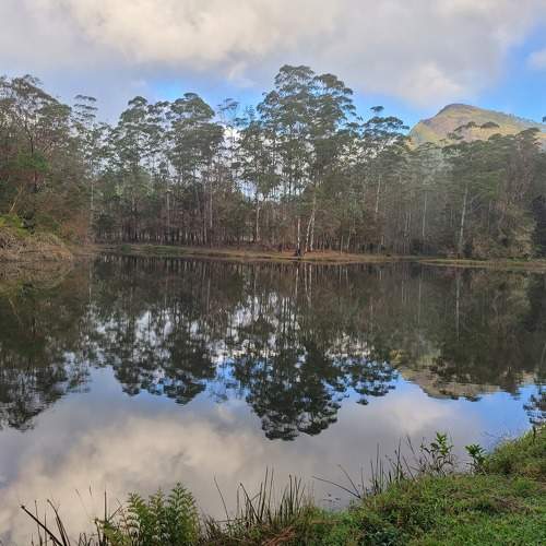 Photo #10492608