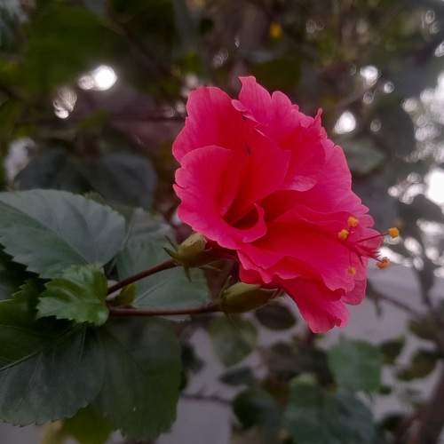 Photo #10492728