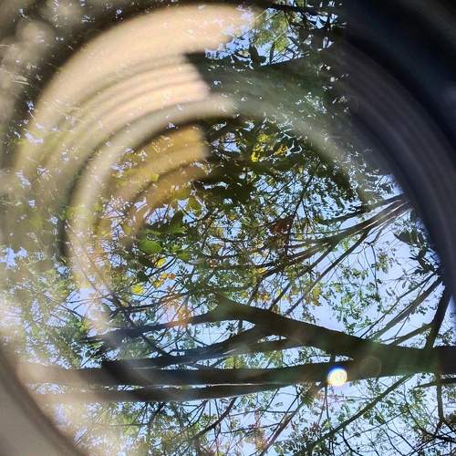 Photo #10492745