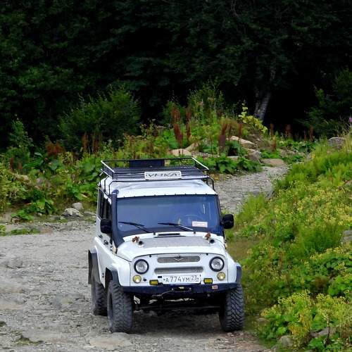 Photo #10492907