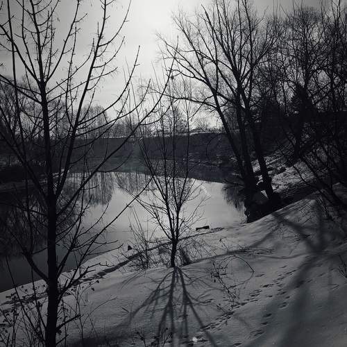 Photo #10494779