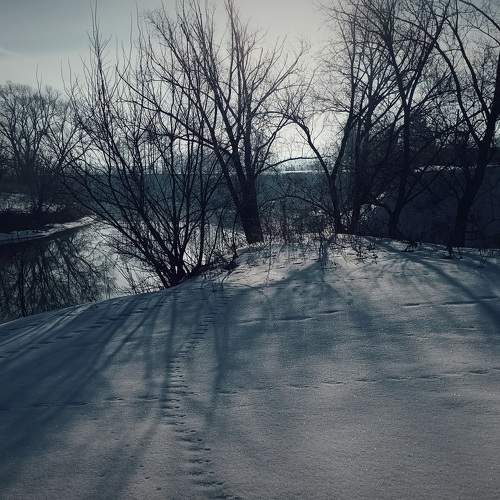 Photo #10494781