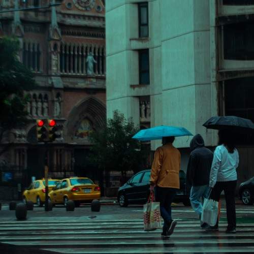Photo #10495021