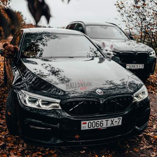 Фотография #10495188