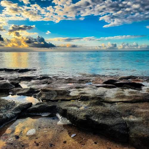 Photo #10495292
