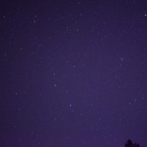 Photo #10495471