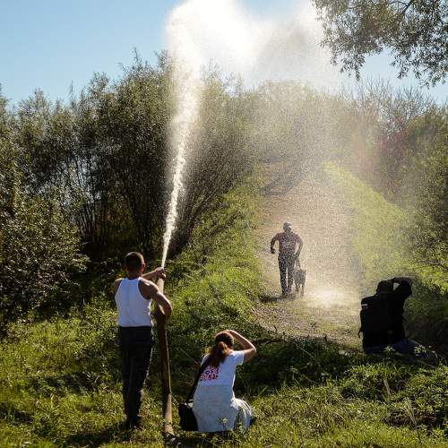Photo #10495506