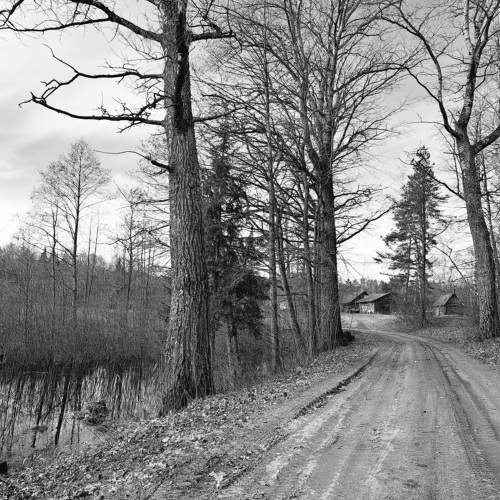 Photo #10496450