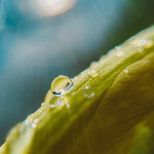 Photo #10496717