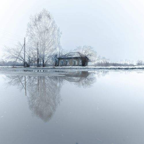 Photo #10497752