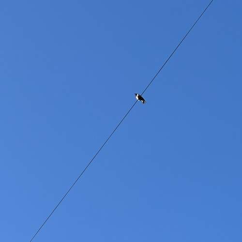 Photo #10498008