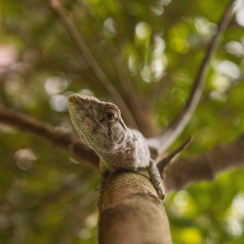 Photo #10498387