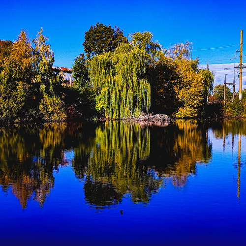 Photo #10498557
