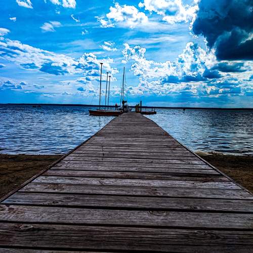 Photo #10498558