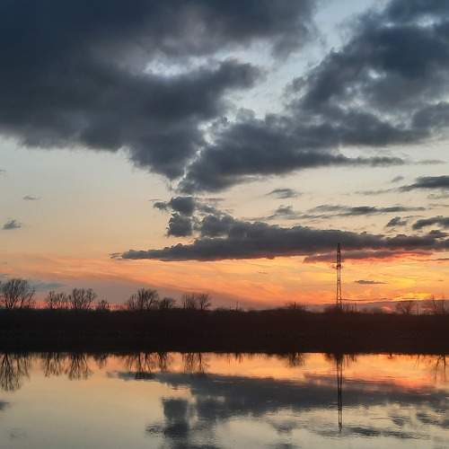 Photo #10498853