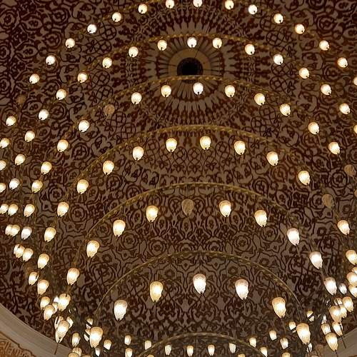 Photo #10498881
