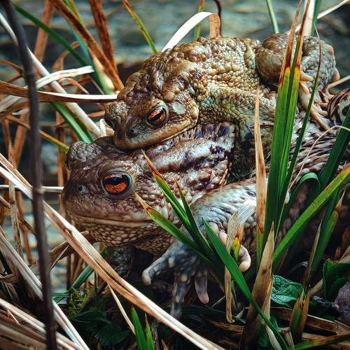 Photo #10498889