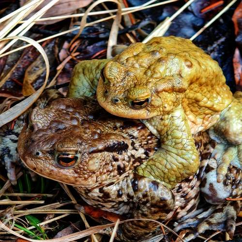 Photo #10498899