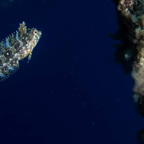Photo #10499009
