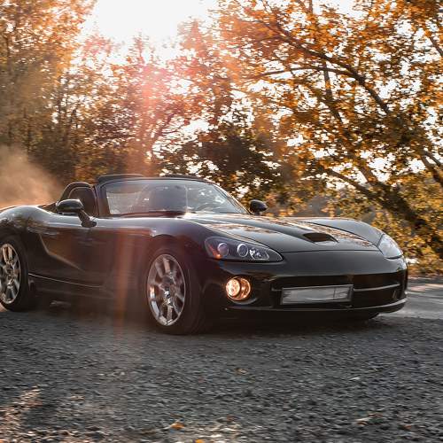 Photo #10499270