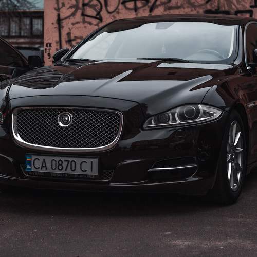 Photo #10499290